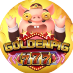 Golden Pig 777