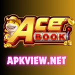 Ace Book 777