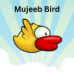 Flappy Mujeeb