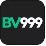 Bv999 game