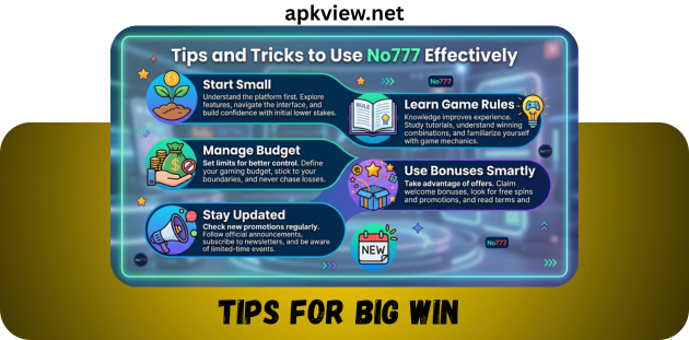 TIPS FOR BIG WIN